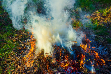 Fototapeta na wymiar fire in the forest, fire in the garden