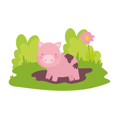 pig in mud flower grass farm animal isolated icon on white background