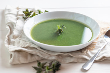 vegetable cream soup green spinach, nettle, brocolli, peas 