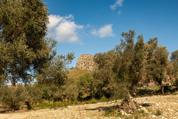 Obraz premium Reise durch die Berge von Mallorca 