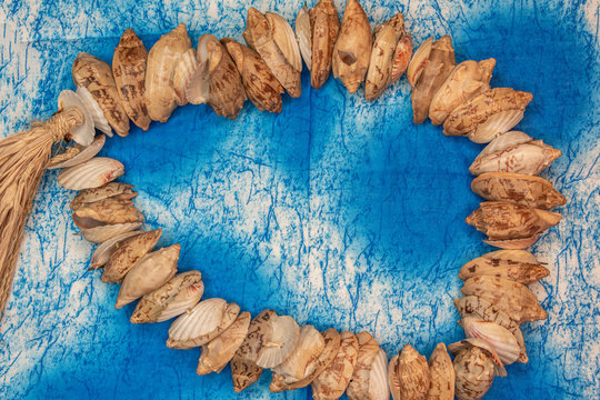 Background of blue cloth with marine shells