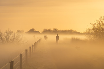 People enjoying a sunrise with  in the spring fog.