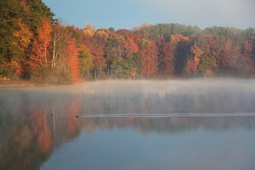 fog at lake in autumn