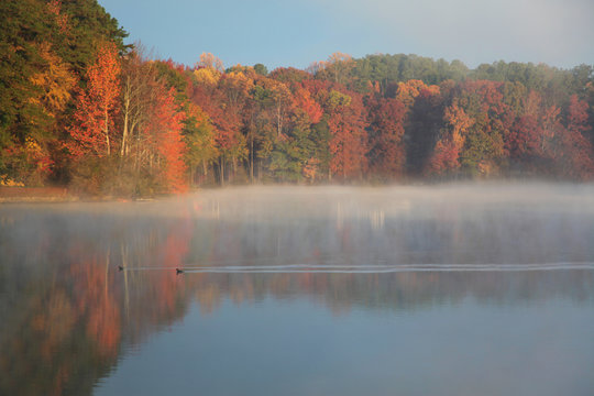 fog at lake in autumn © Debbie