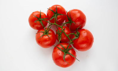 Tomato branch. Tomatoes isolated on a white background