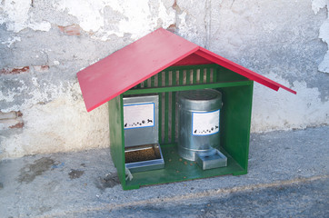 Dog and cat feeder and drinker in the shape of a house