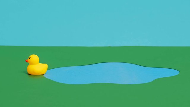 Stop motion animation of three rubber ducks ducky swimming in a pond and taking a dip to drink water or eat before leaving and shaking the water off and exiting the frame