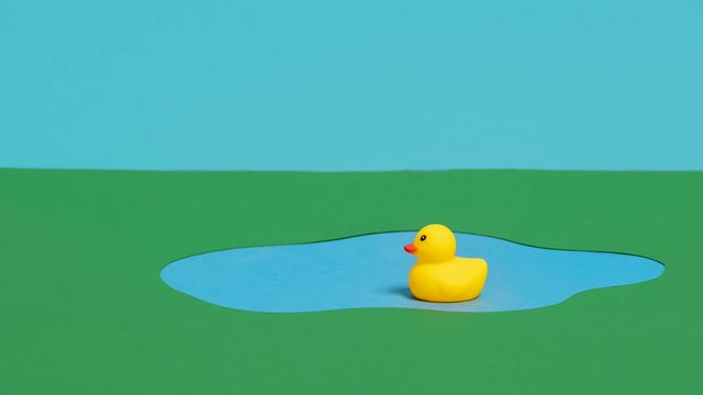 Stop motion animation of a single rubber duck ducky swimming in a pond and taking a dip to drink water or eat before leaving and shaking the water off and exiting the frame