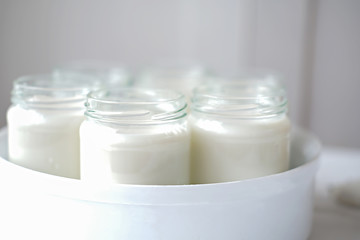 Obraz na płótnie Canvas homemade organic yogurt in glass jars in yogurt maker. automatic yogurt machine to make fermrnted milk product at home. yogurt making during quarantine concept. 