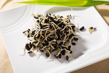 Bean sprouts food