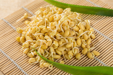 Bean sprouts food
