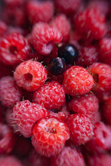 selection of freshly picked ripe red raspberries and 2 berries of black currant