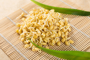 Bean sprouts food