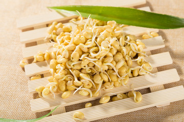 Bean sprouts food