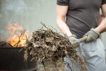 Man cleans the garden and burns fallen leaves in a barrel.