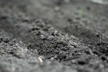 Garden soil close up abstract background.