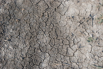 texture of desert