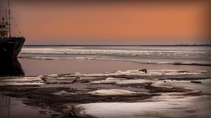 A fishing boat among drifting ice floes on a river at sunset of the day. Severnaya Dvina River, Arkhangelsk Region, Russia © Aleksandr 44ARH