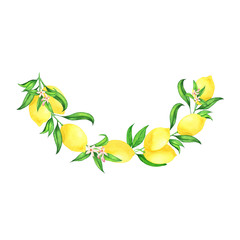 Lemon branch with leaves and flowers.