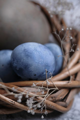 easter eggs with herbal decor