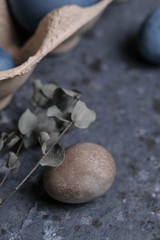 easter eggs with herbal decor