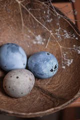 easter eggs with herbal decor