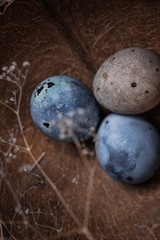 easter eggs with herbal decor