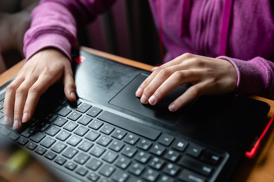 Young caucasian girl in pink sweater at computer while studying online programming at home near the window
