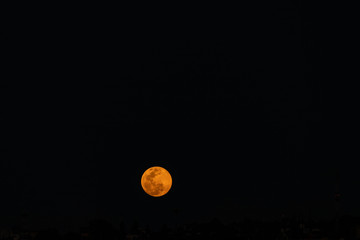 Fotografía de la luna roja llena de abril saliendo en el horizonte