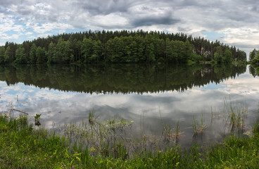 lake in the forest