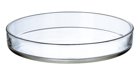 Petri dish isolated on white