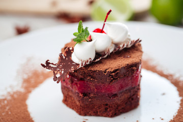 Gourmet sponge cake with cream in chocolate glaze large