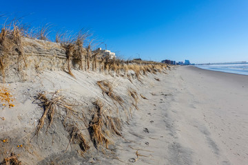 Winter view along a sandy beach showing beach sand erosion