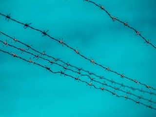 Security Fence In Prison