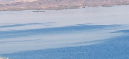 winter landscape with snow 