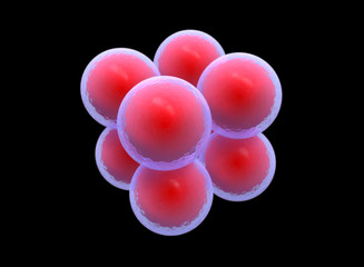 Cocci Shape of bacteria. its called sarcina. 3d stem cell. it is mature cells, ready to split in multi cells. large number of bactetia.
