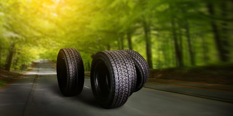 Car tire on summer forest road with trees background. 