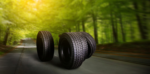 Car tire on summer forest road with trees background.  © Domino