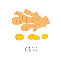 Fresh ginger and slices. Vector illustration isolated.