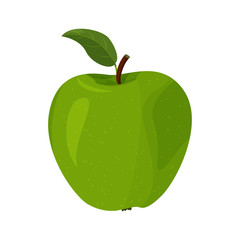 Vector illustration of detailed big shiny green apple. Fresh fruit isolated on white background.