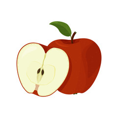 Vector illustration of detailed big shiny red apple. Fresh fruit isolated on white background.