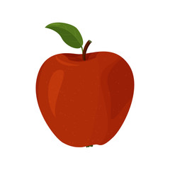 Vector illustration of detailed big shiny red apple. Fresh fruit isolated on white background.