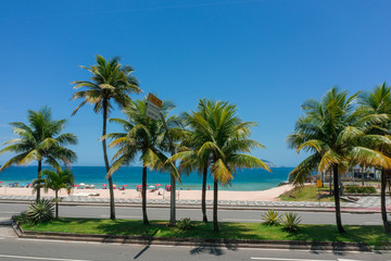 Fototapeta na wymiar Palm trees on the street near Leblon beach in Rio de Janeiro