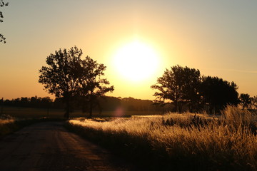 Słońce późnym popołudniem nad polami