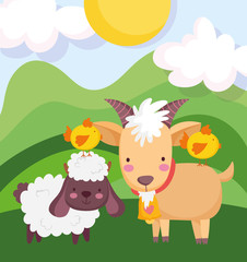 farm cute animals sheep ram and chickens cartoon