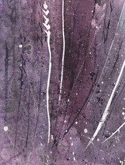 Lavender flowers watercolor illustration over white background. Medical and aroma lilac herb botanical drawing