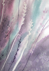 Lavender flowers watercolor illustration over white background. Medical and aroma lilac herb botanical drawing