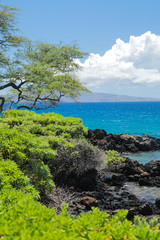 Blue Pacific Ocean with Lush Green Landscape and Volcanic Rocks in Wailea Maui Hawaii