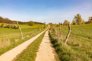 Obraz premium path into nature in spring