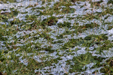 thin layer of snow over short grassy lawn